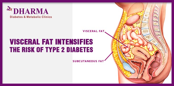 VISCERAL FAT INTENSIFIES THE RISK OF TYPE 2 DIABETES